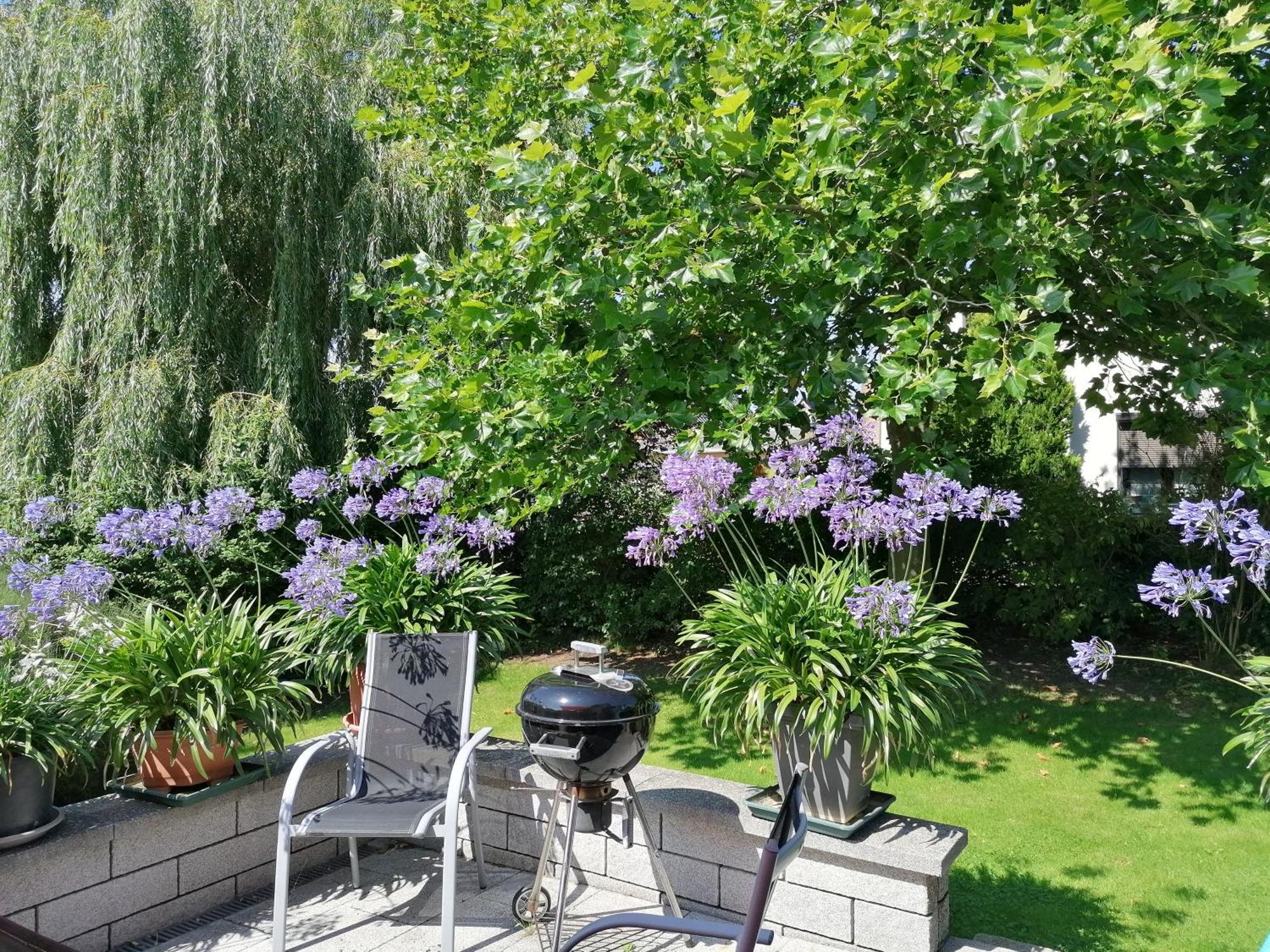 Pension Haus Anneliese Ückeritz Extérieur photo
