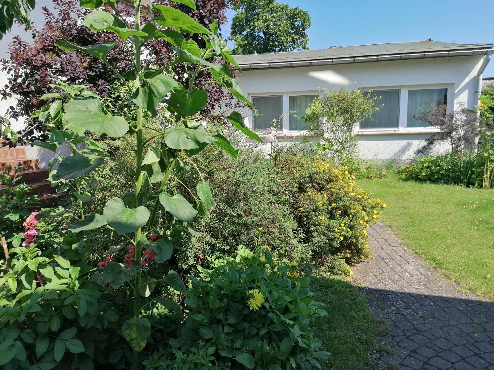 Pension Haus Anneliese Ückeritz Extérieur photo