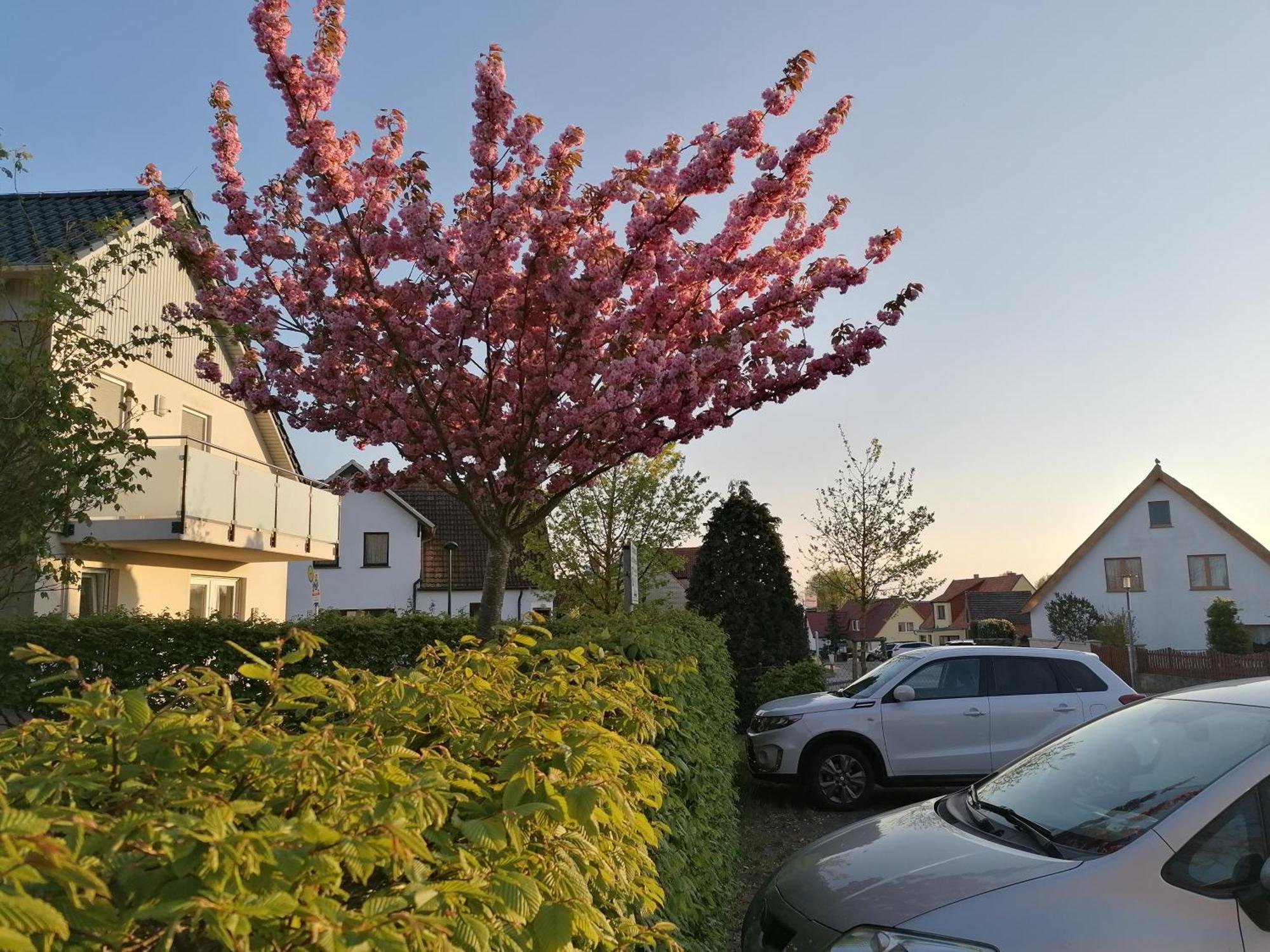 Pension Haus Anneliese Ückeritz Extérieur photo