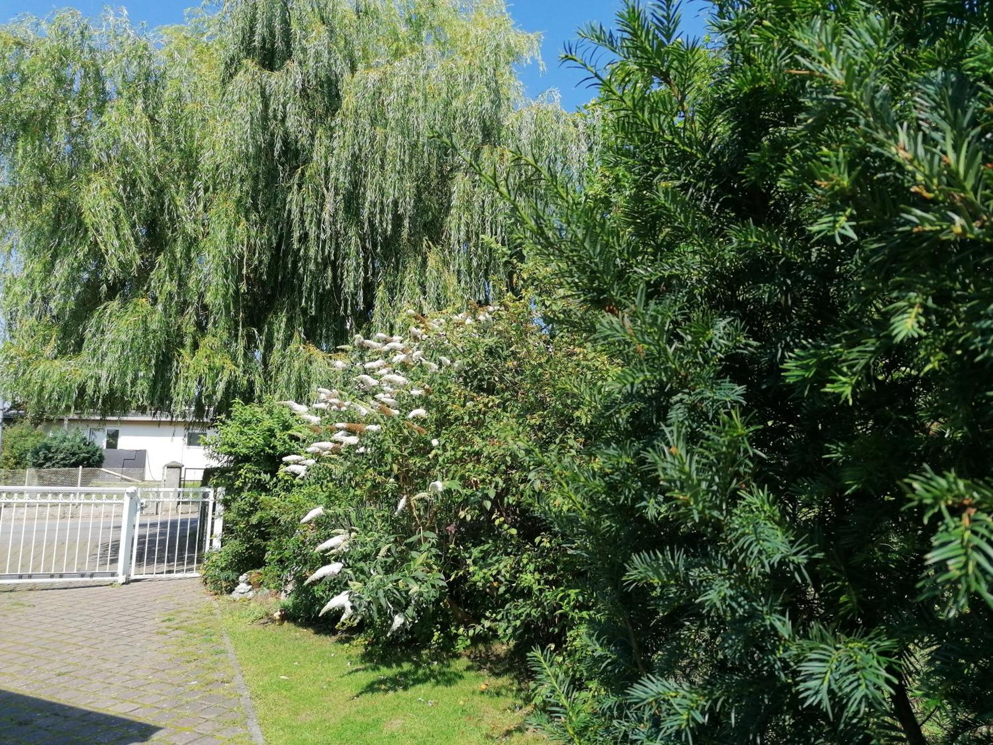 Pension Haus Anneliese Ückeritz Extérieur photo