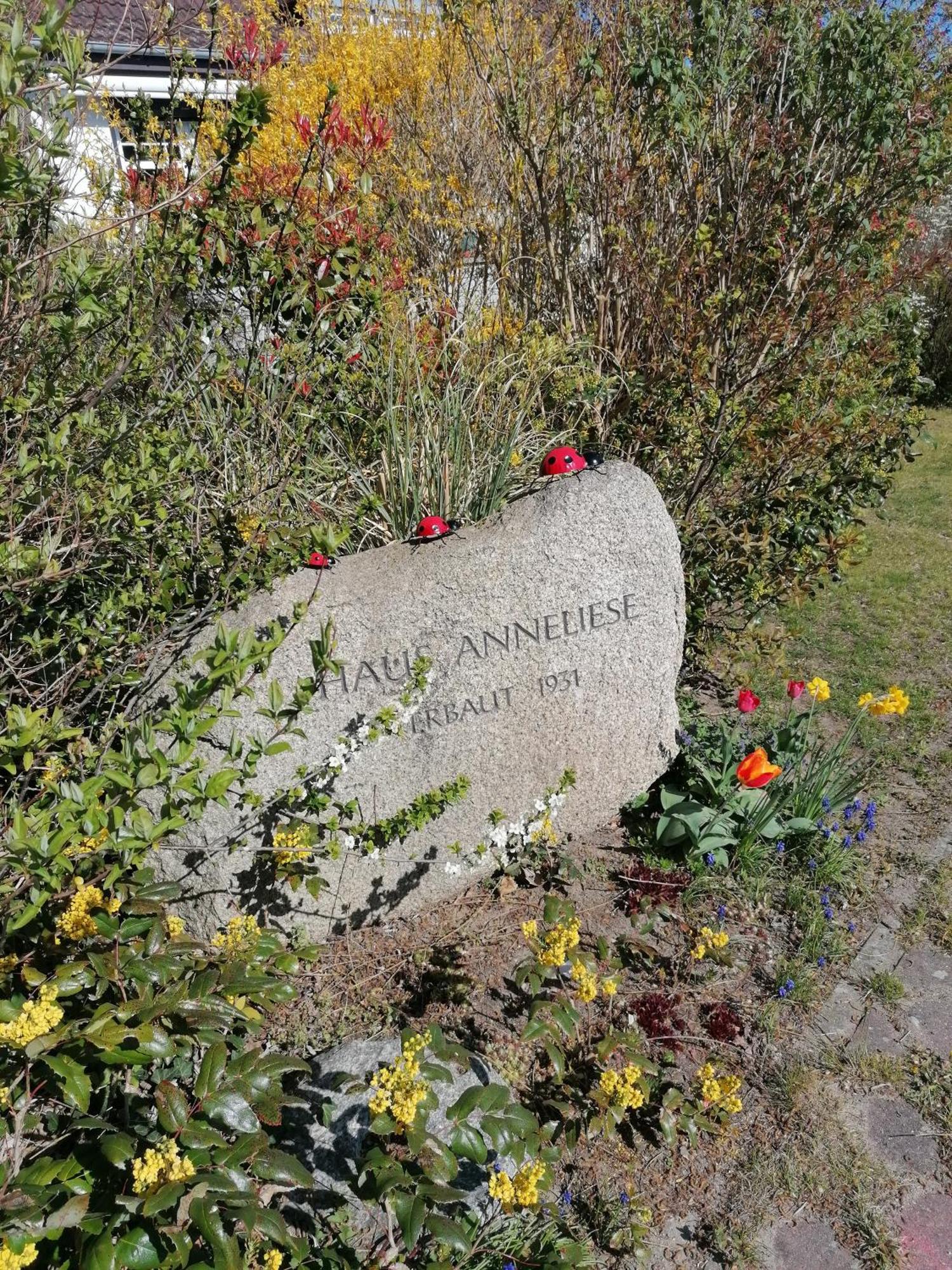 Pension Haus Anneliese Ückeritz Extérieur photo