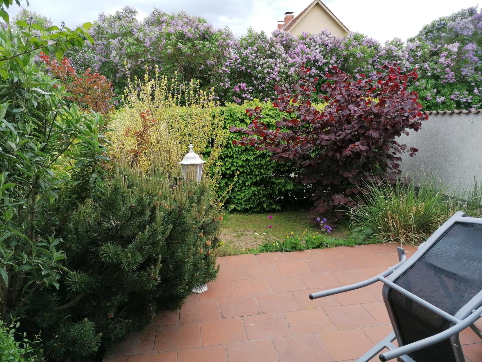 Pension Haus Anneliese Ückeritz Extérieur photo